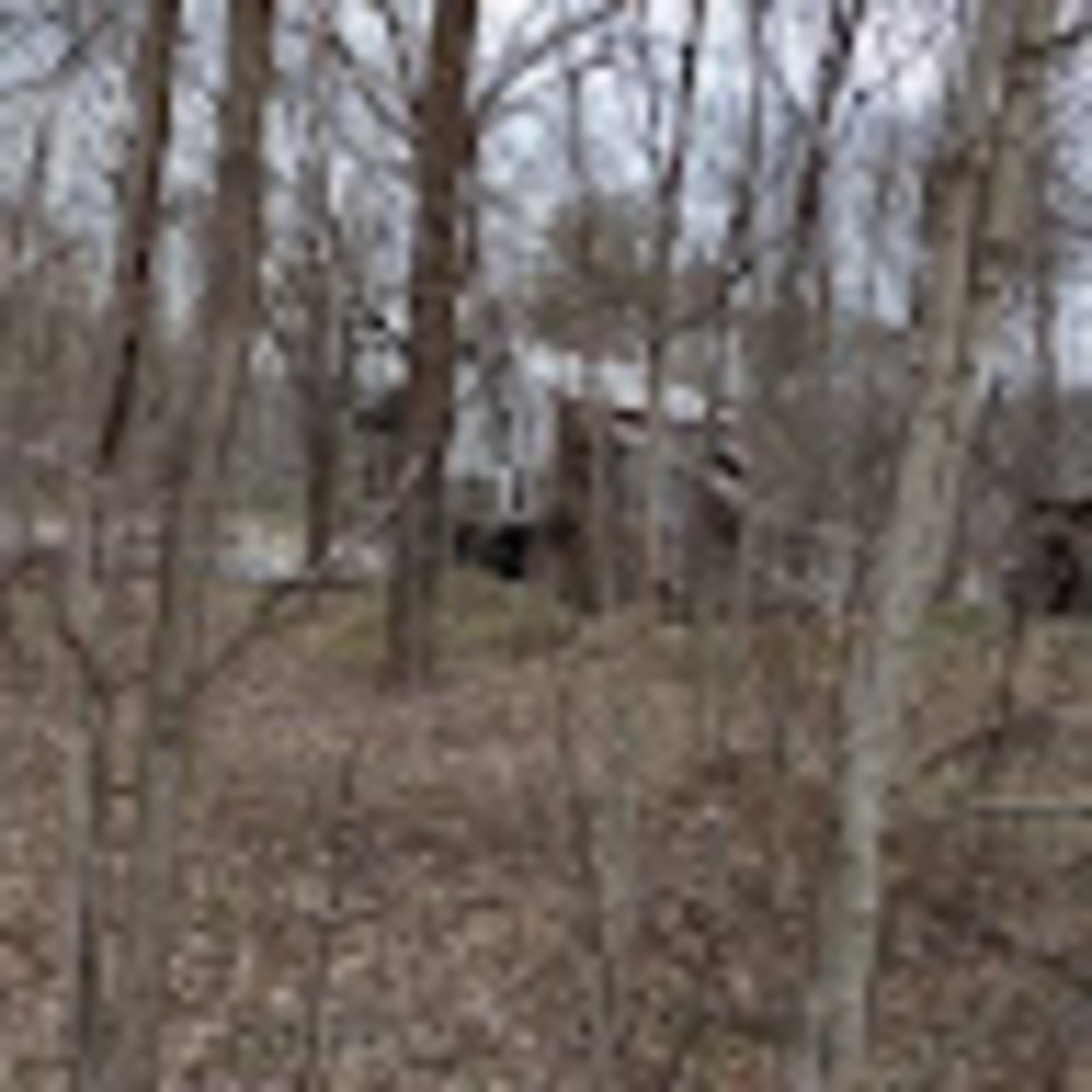 Meet your Posher, Charles